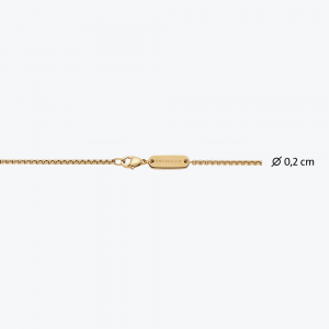Ogrlica u boji zlata Venecija dizajna M